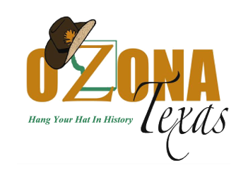 Ozona Logo