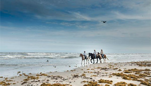 Beach Camping