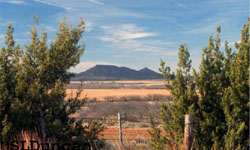Aspermont
