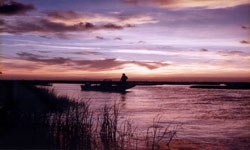 Bayou Vista