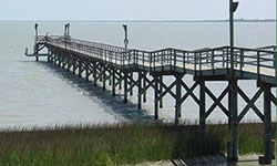 Bayside