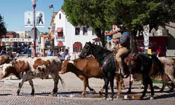Fort Worth
