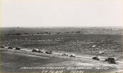 La Feria
