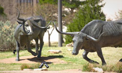 Lubbock