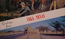Vega