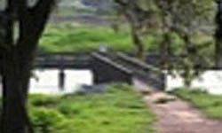 Brazos Bend State Park