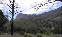 Guadalupe Mountains National Park