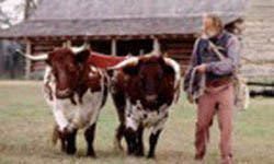 Barrington Living History Farm