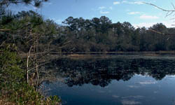 Big Thicket National Preserve