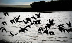 Buffalo Lake National Wildlife Refuge
