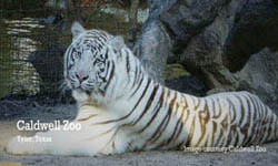 Caldwell Zoo