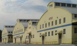 Cattle Barn Flea Market