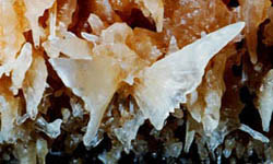 Caverns of Sonora
