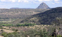 Chihuahuan Desert Nature Center and Botanical Gardens