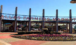 Dallas Farmers Market