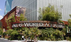 Dallas World Aquarium