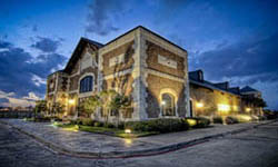 Grapevine