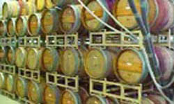 Dry Comal Creek Vineyards