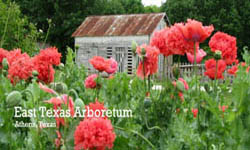 East Texas Arboretum