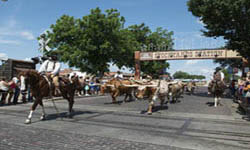Fort Worth Herd Cattle Drives