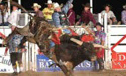 Del Rio