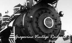 Grapevine