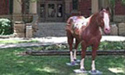 Hoof Prints of the American Quarter Horse