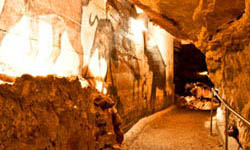 Inner Space Caverns