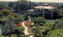 Japanese Tea Gardens - Sunken Gardens