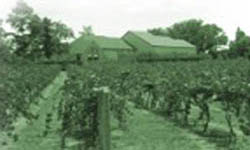 Kiepersol Winery