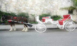 Lone Star Carriage Company