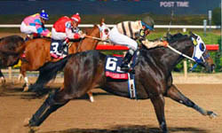 Lone Star Park