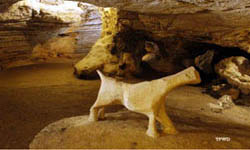 Longhorn Cavern State Park