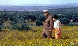 Lyndon B. Johnson State Park and Historic Site