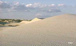 Monahans Sandhills State Park