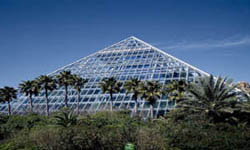 Moody Gardens