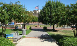 Longview