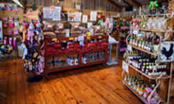 All Across Texas Store