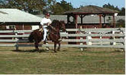 Rancho Texcellente IXL