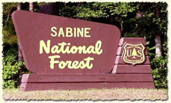 Sabine National Forest