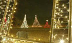 New Braunfels