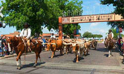 Stockyards Station