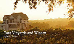 Tara Vineyard and Winery