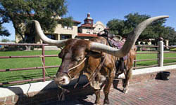 Texas Cowboy Hall of Fame