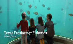 Texas Freshwater Fisheries Center