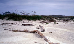 Texas Beaches
