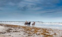 Explore The Gulf Coast