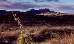 Texas Outdoors Attractions