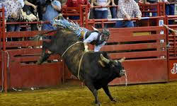 Rodeos